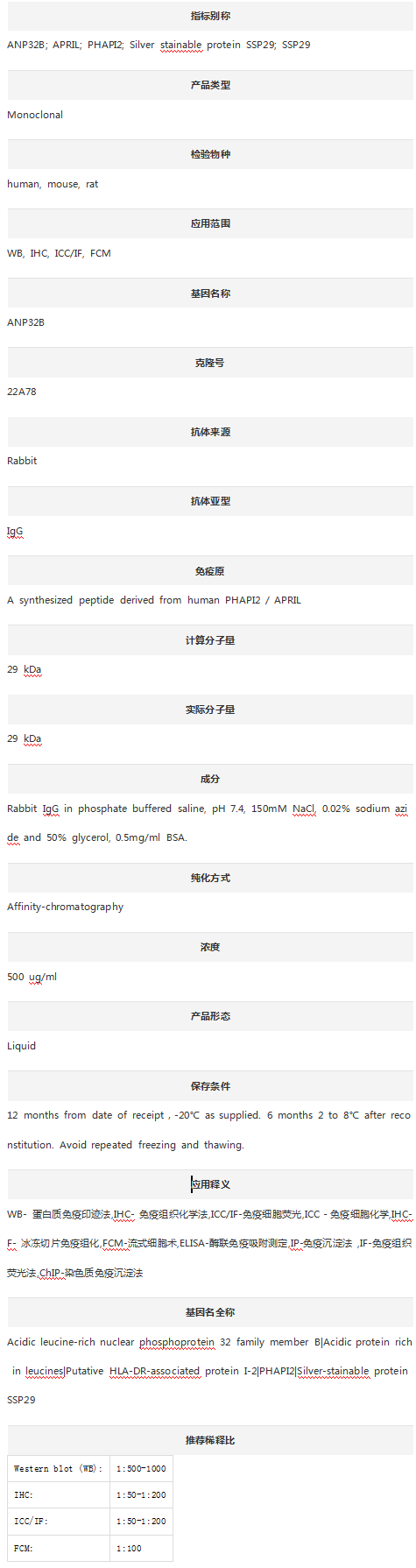 Anti-ANP32B Antibody (Clone#22