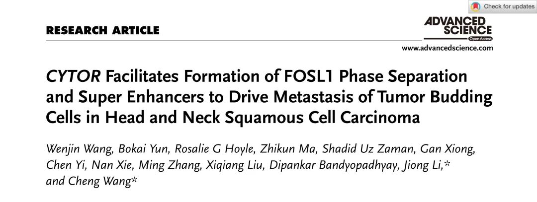 Adv Sci丨光华口腔医院团队揭示超级lncRNA CYTOR驱动HNSCC肿瘤出芽细胞转移的机制