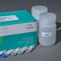 胆碱酯酶(CHE)测试盒