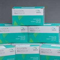 Sodium Butyrate (HDAC抑制剂)