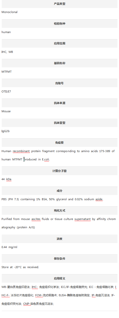 Anti-MTFMT Antibody (Clone#OTI