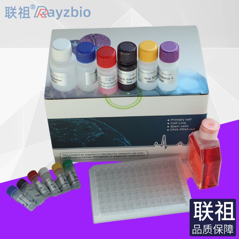 红霉素N脱甲基酶（ERND）测试盒