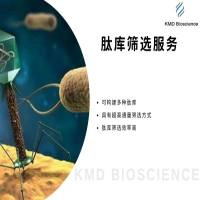 环7肽库筛选|多肽文库筛选|文库构建
