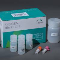 超氧化物歧化酶(SOD)测试盒(总SOD,黄嘌呤氧化酶)