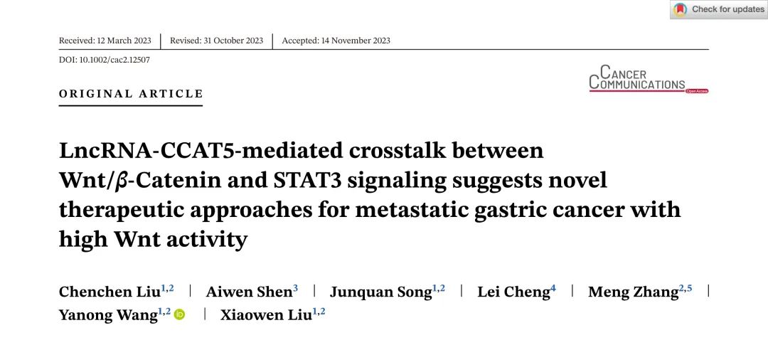 Cancer Commun（IF16+）丨复旦肿瘤医院团队揭示lncRNA CCAT5在GC转移中的功能和治疗潜力