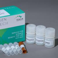 Ki67细胞增殖检测试剂盒（ICF/FACS法）