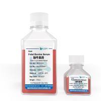 特级胎牛血清