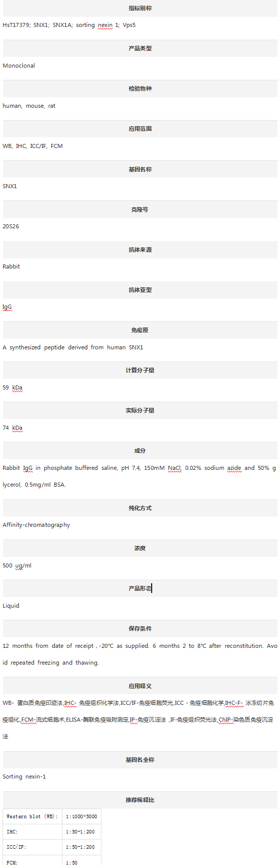 Anti-SNX1 Antibody (Clone#20S2