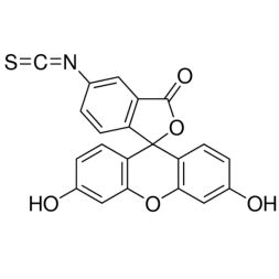 Fluorescein isothiocyanate isomer I (FITC)  D-9801 荧光标记染料FITC/异硫氰酸荧光素酯