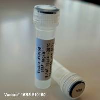 Vacara cat#10150  Mouse Anti- Cartilage Oligomeric Matrix Protein Antibody (16B5)