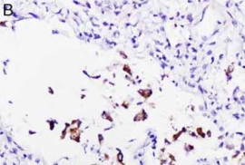 1917029534924803.jpg 产品细节图片5