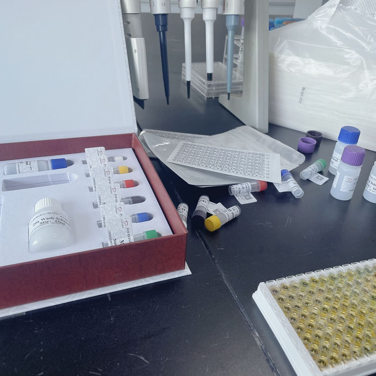 人毒性休克综合征毒素1(TSST-1)ELISA试剂盒