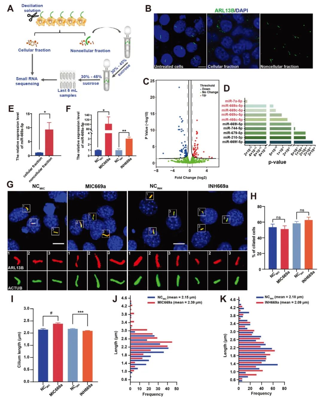miRNA研究进展盘点丨20231218期