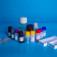 猪回肠脂肪酸结合蛋白(FABP6)ELISA测试盒