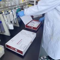 大鼠白介素2可溶性受体β链(IL-2sRβ)ELISA试剂盒