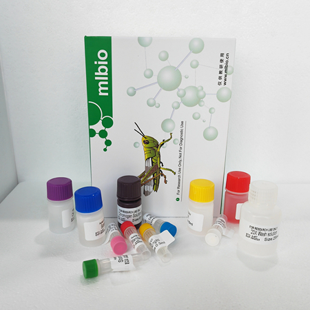 小鼠ELISA试剂盒方法类型和操作步骤