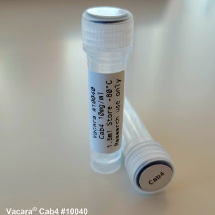 Vacara  cat#10040  Cartilage Antibody Cocktail (Cab4)