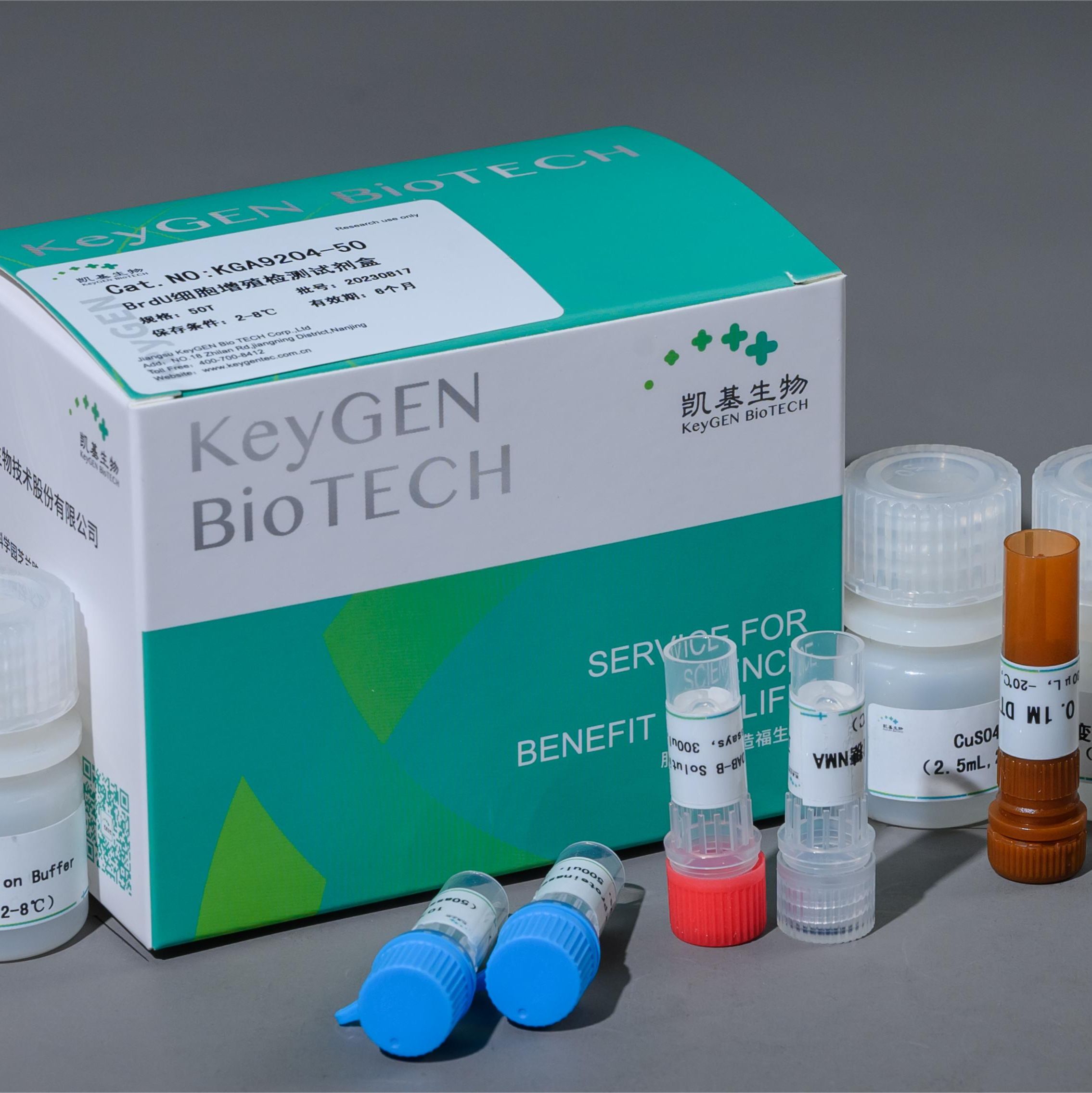 Brdu细胞增殖检测试剂盒（IHC法）