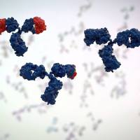 纳米抗体定制 | 纳米抗体制备 | 抗体发现
