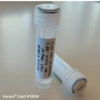 Vacara #10030    Cartilage Antibody Cocktail (Cab