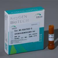 过氧化物和过氧化酶荧光探针Amplex Red,红540/590nm