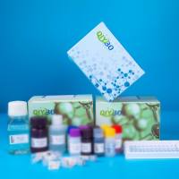 猪含亮氨酸丰富PPR基元蛋白(LRPPRC)ELISA测试盒