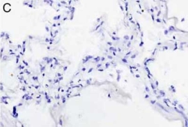 1917029535394083.jpg 产品细节图片6