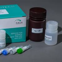 胃蛋白酶测试盒