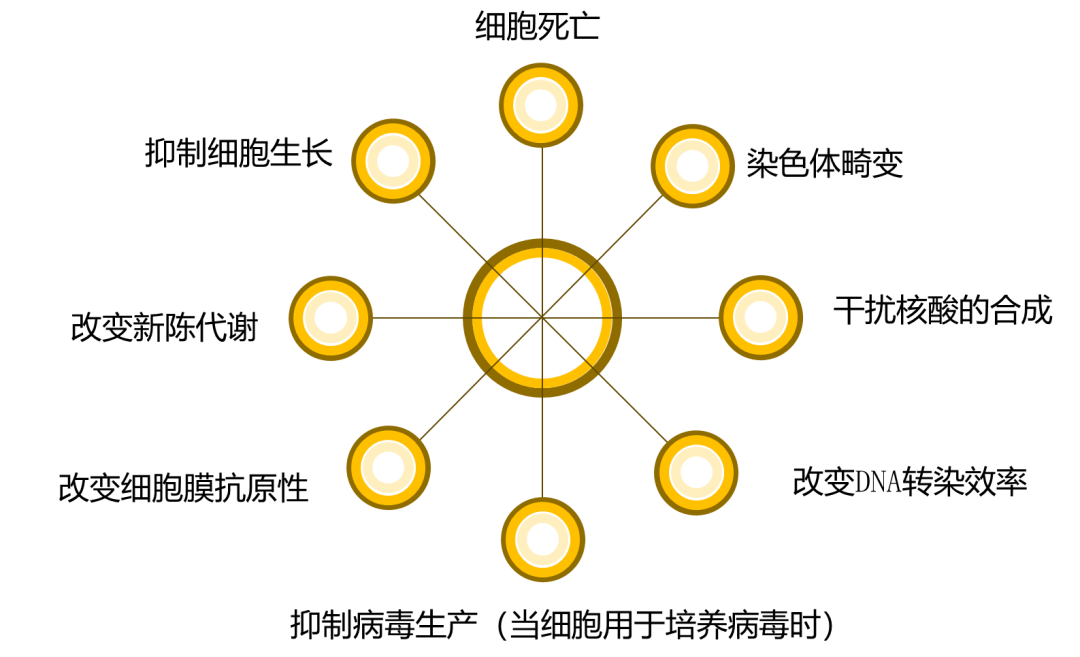 GMycSpray 支原体喷雾试剂