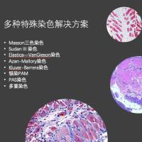 病理组织染色