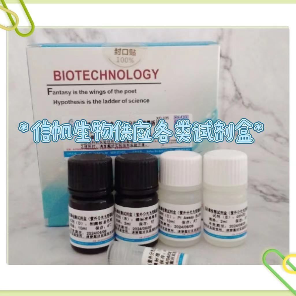 蛋白银染-试剂盒