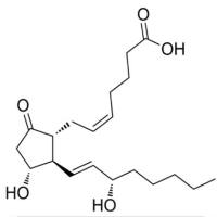 前列腺素E2