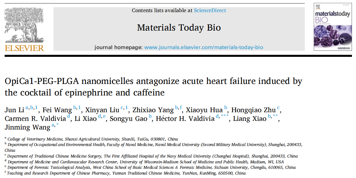 小动物活体成像系统在急性心力衰竭小鼠模型治疗中的应用