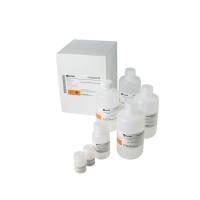 Cytiva  80648356   蛋白样品浓度定量试剂盒