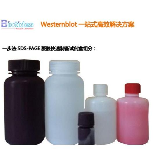 biotides一步法凝胶快速制备试剂盒WB2101 WB2102 WB2103 WB2014 制胶试剂盒