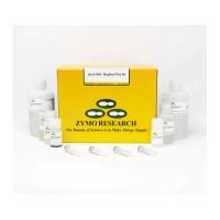 Zymo Research - D4081 - Quick-DNA Magbead Plus Kit