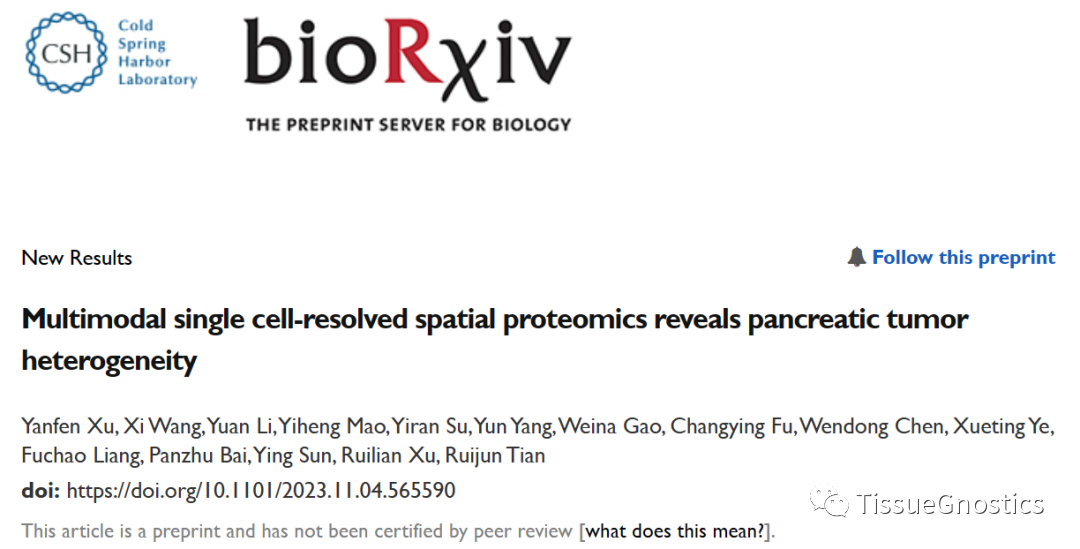 单细胞空间多靶点 mIHC 分析揭示空间蛋白组学细胞亚型分布规律