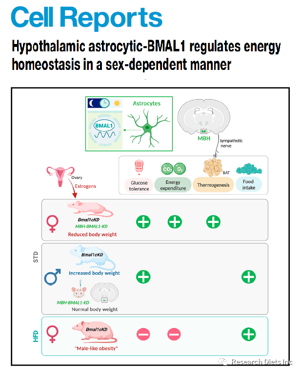 2023 OpenSource 纯化饲料文献合集第六弹