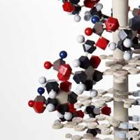 抗人 IL-22 荧光标记FITC 抗体