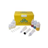 Zymo Research - D4203 - ZymoPURE II Plasmid Maxiprep Kit