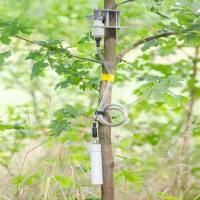 树木生长记录仪PTi