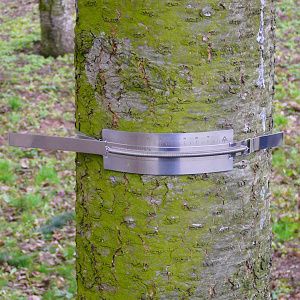 树木生长记录仪（不锈钢生长环）