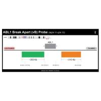Empire Genomics - ABL1BA-vB-20-GROR - ABL1 Break Apart FISH Probe Version B