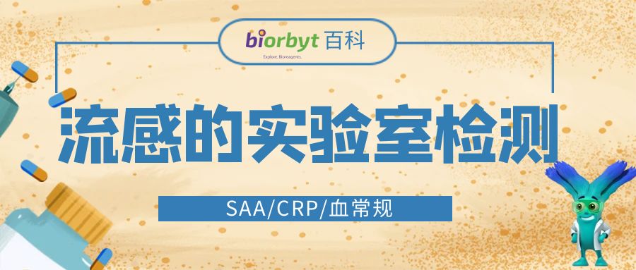 【Biorbyt大百科】流感的实验室检测