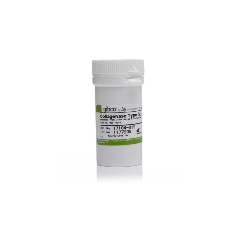 GIBCO   17104019  IV胶原酶 Collagenase,Type IV,powder