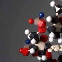 Purified 抗小鼠/大鼠/人 MCP-1 抗体