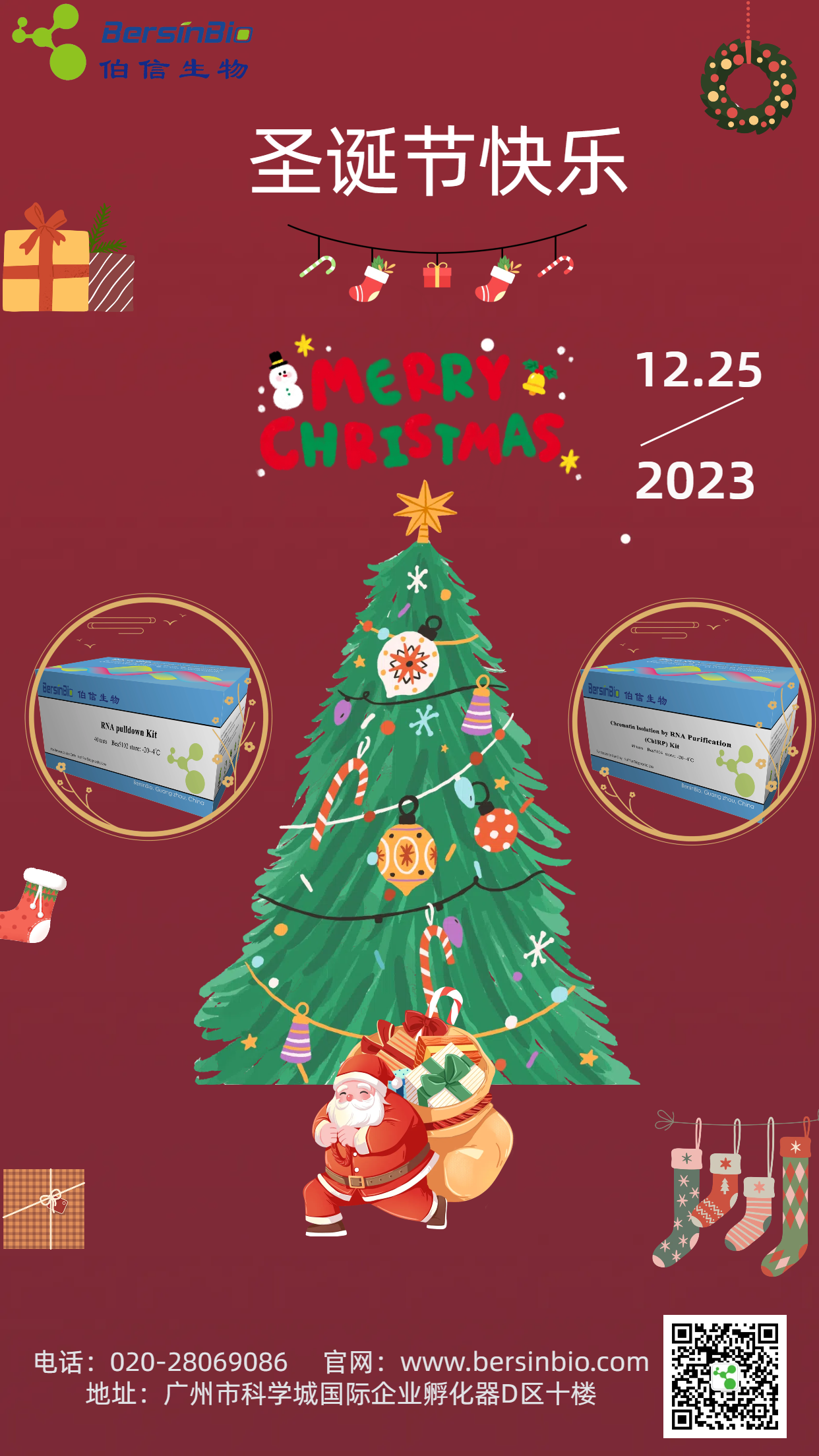 诞愿美好，与你相伴