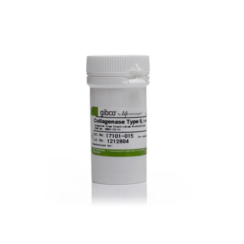 GIBCO  17101015  II型胶原酶 Collagenase,Type II,pewder