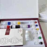 人促胃液素受体(GsaR)ELISA试剂盒