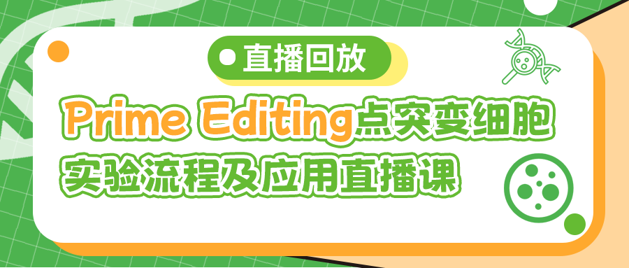 Prime Editing点突变细胞构建实验流程及应用常见问答